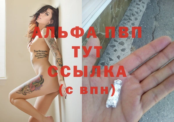 стафф Алексин