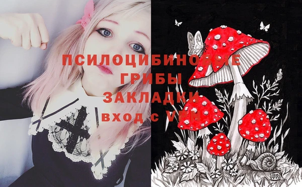 стафф Алексин