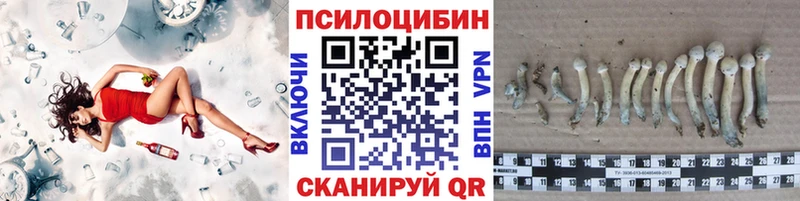 гидра как зайти Грязовец Галлюциногенные грибы прущие грибы